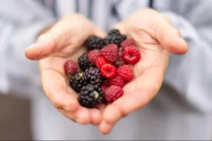 using edible berries in the hands 