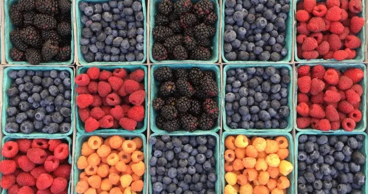 using edible berries in cups