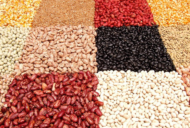what are beans and legumes?