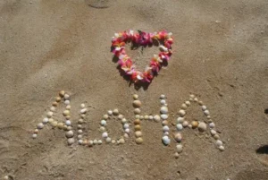 aloha and mahalo our story
