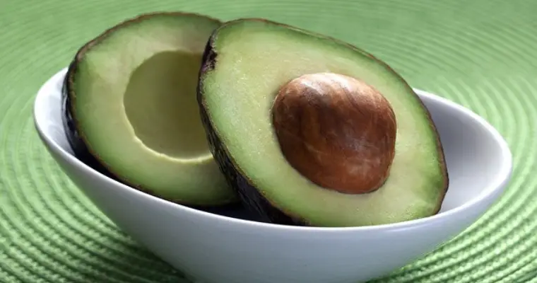 Interesting Facts about Avocados