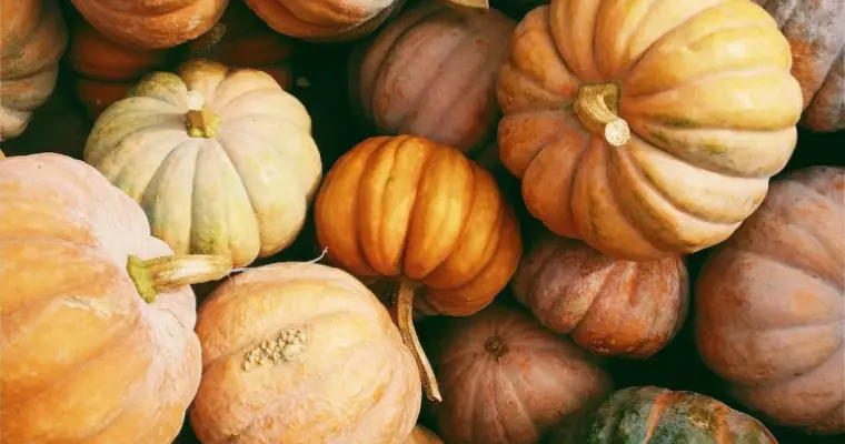 interesting facts about pumpkins