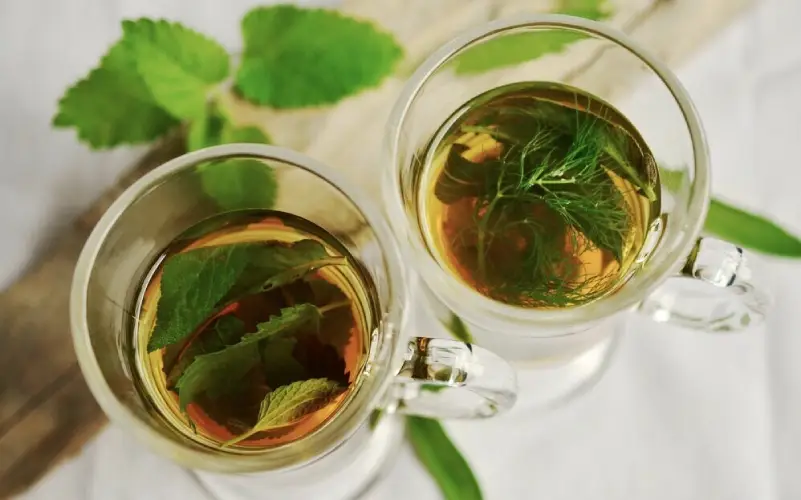 what are medicinal herbs post cups pf hot herbal tea